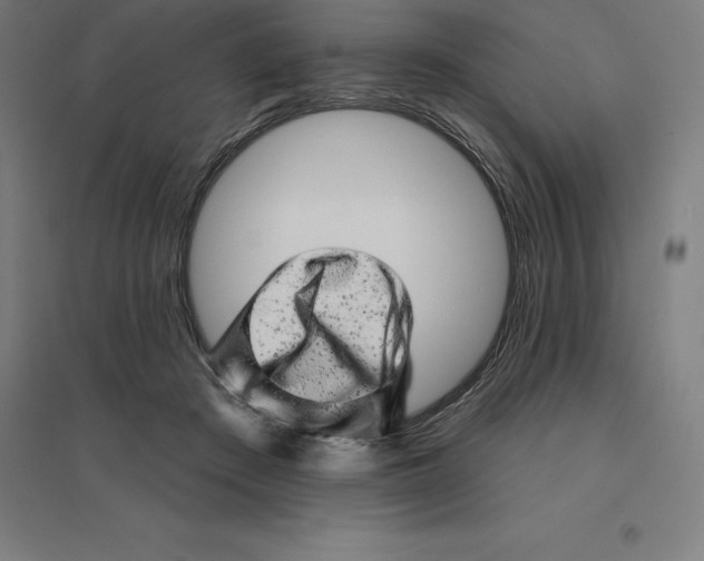 X0000094460409200712061228