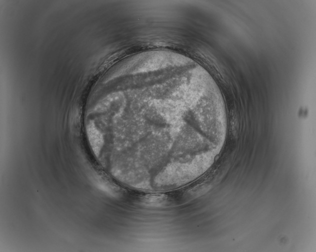 X0000094460410200712061228