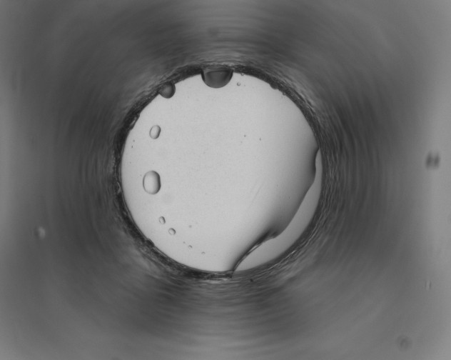 X0000094460411200712061228