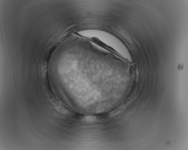 X0000094460413200712061228