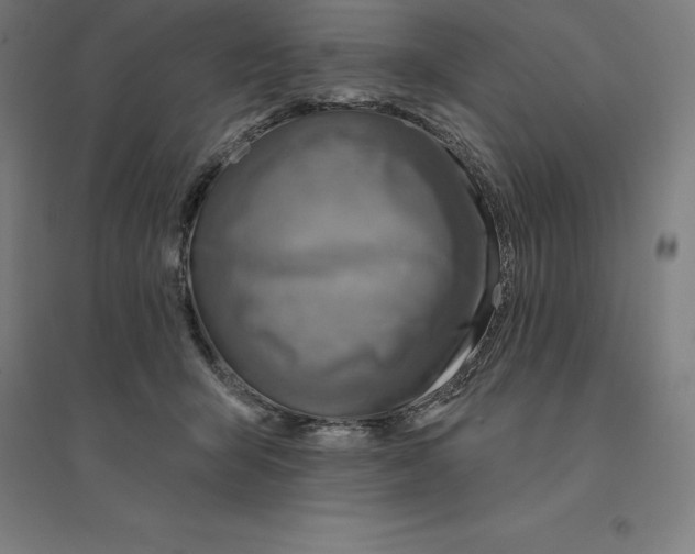 X0000094460415200712061228