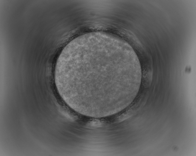 X0000094460416200712061228