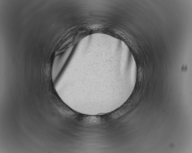 X0000094460421200712061228