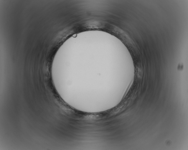 X0000094460422200712061228