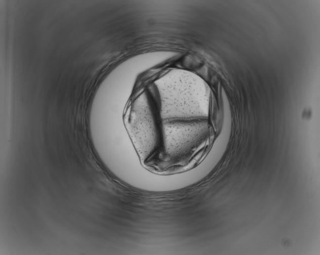 X0000094460423200712061227