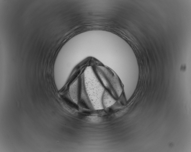 X0000094460425200712061227