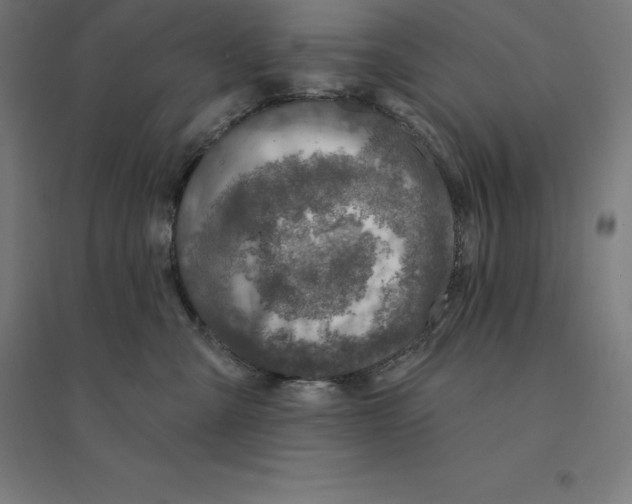 X0000094460427200712061227