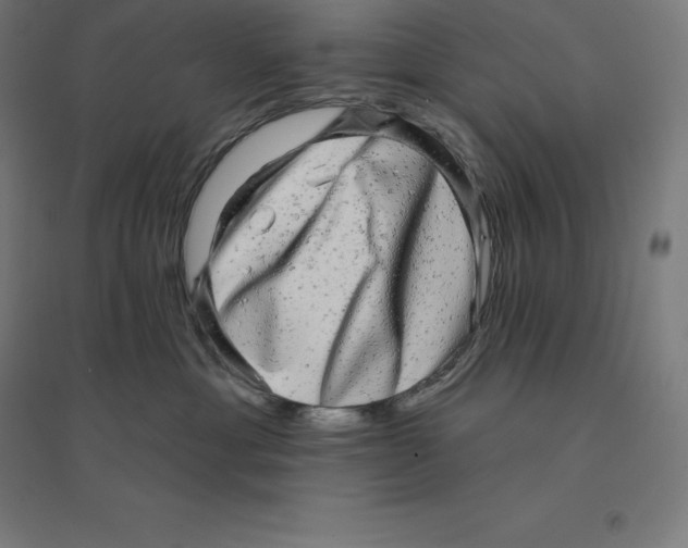 X0000094460429200712061227