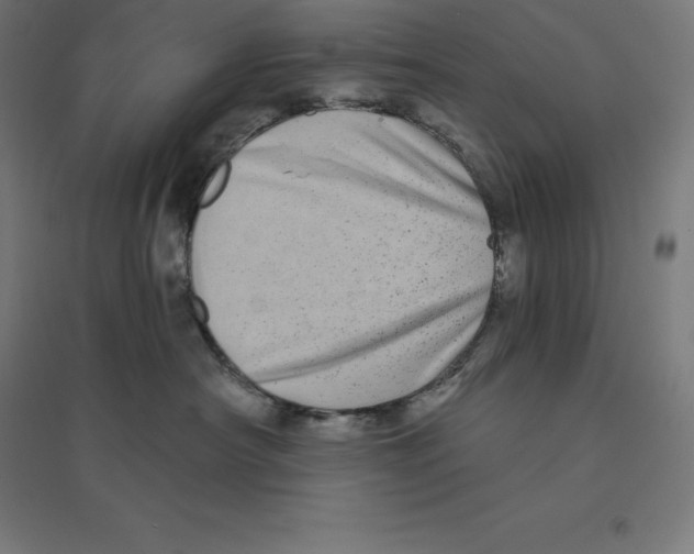 X0000094460430200712061227