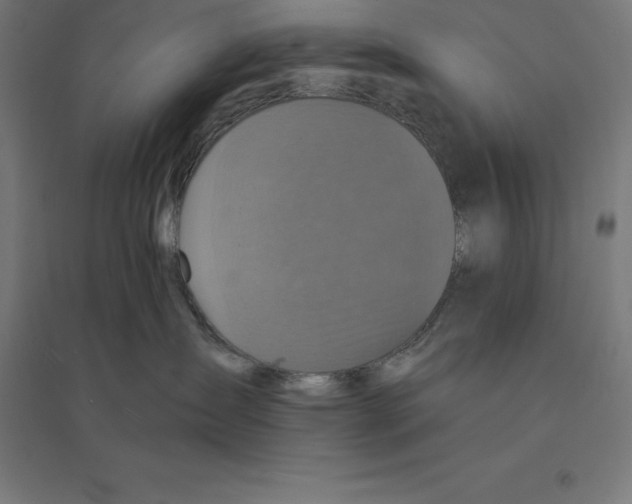 X0000094460431200712061227