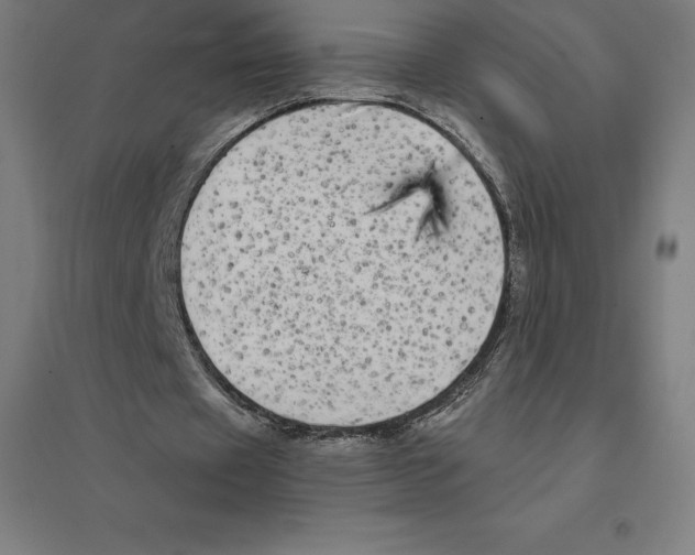 X0000094460433200712061227