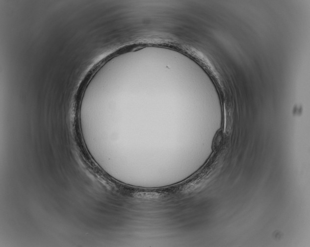 X0000094460435200712061227