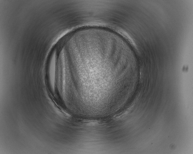 X0000094460436200712061227