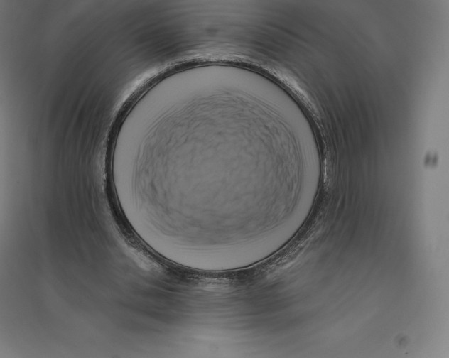 X0000094460438200712061227