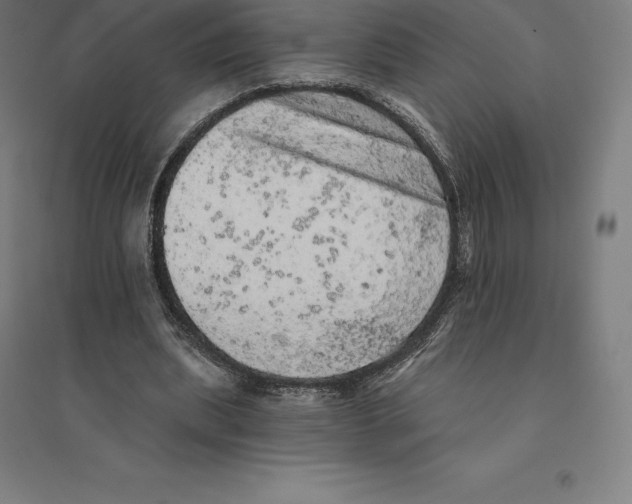 X0000094460439200712061227