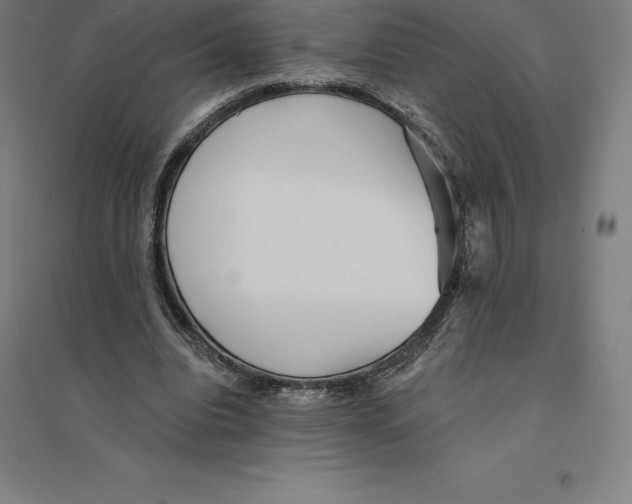 X0000094460440200712061227