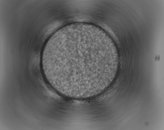 X0000094460442200712061227