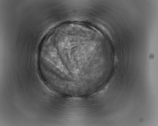 X0000094460444200712061227