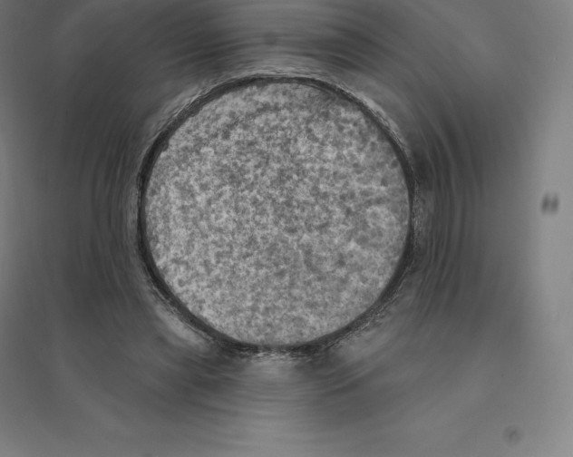 X0000094460445200712061227