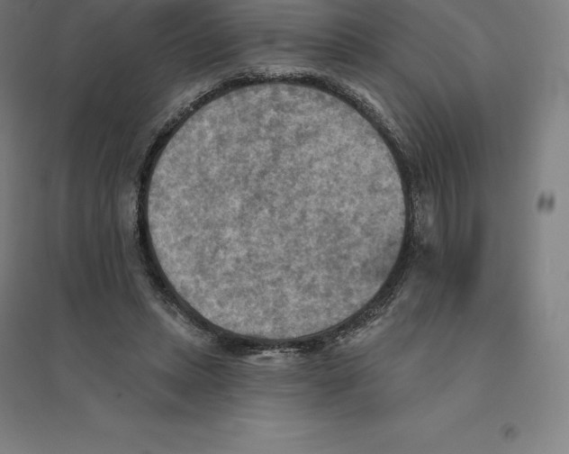 X0000094460447200712061227