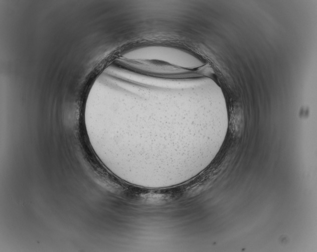 X0000094460448200712061227