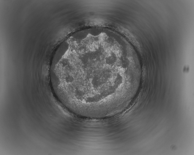 X0000094460449200712061227