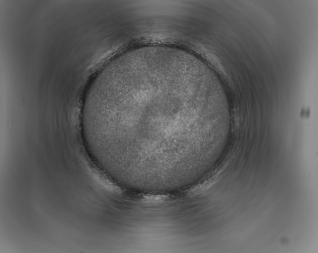 X0000094460450200712061227