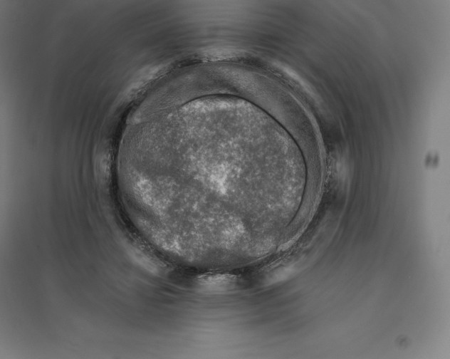 X0000094460452200712061227