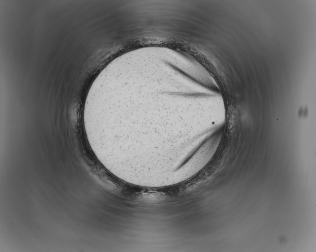 X0000094460455200712061227