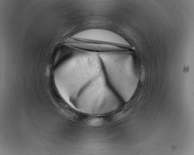 X0000094460456200712061227