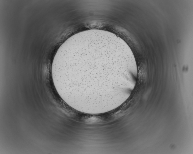 X0000094460460200712061227