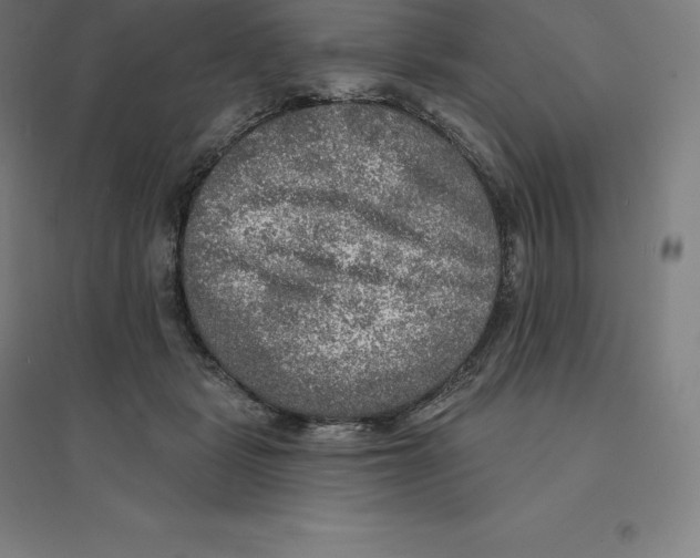 X0000094460461200712061227