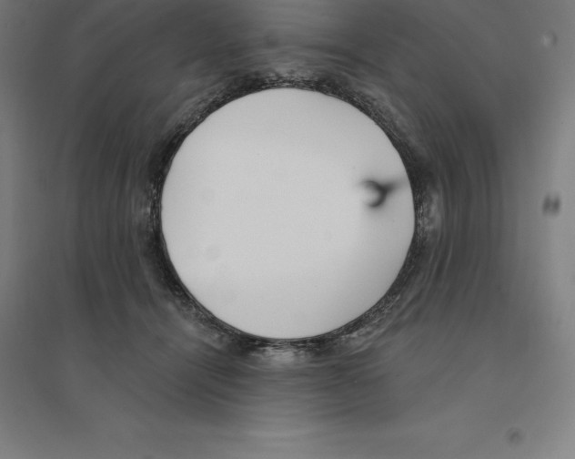 X0000094460464200712061227