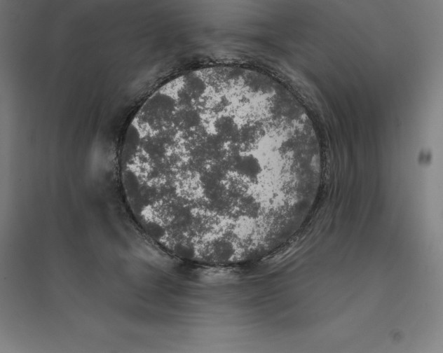 X0000094460465200712061227