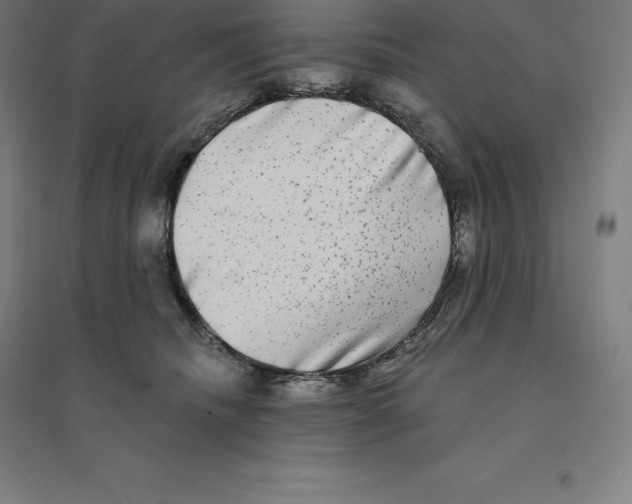 X0000094460468200712061227