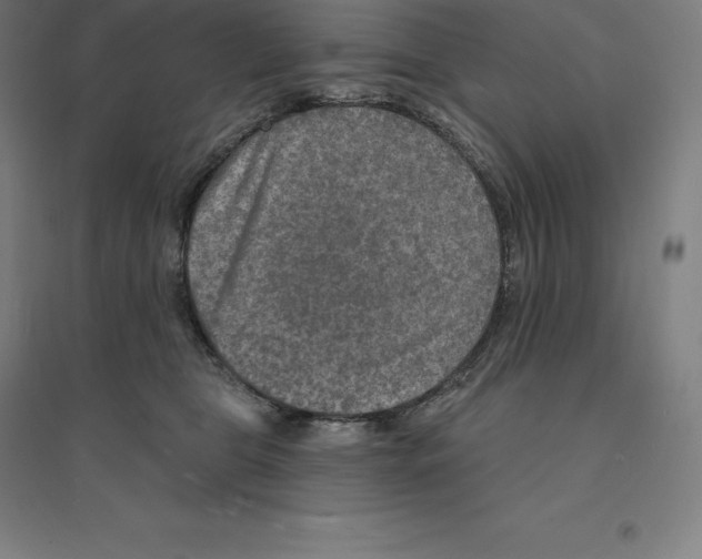 X0000094460469200712061227