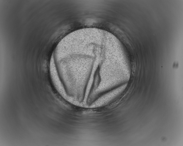 X0000094460470200712061227