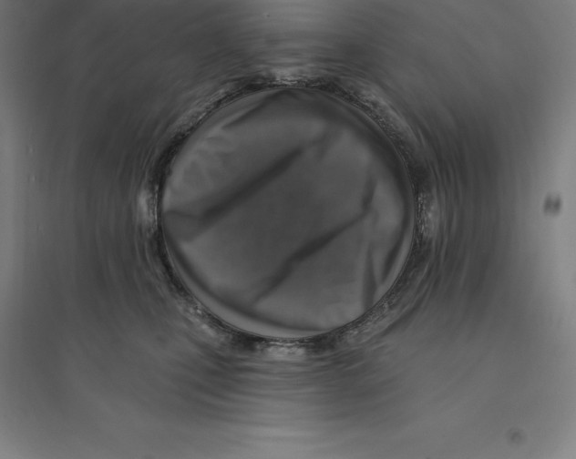 X0000094460471200712061227