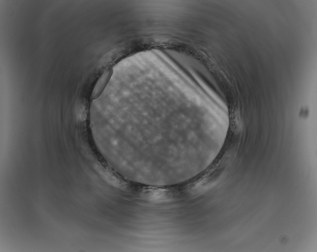 X0000094460472200712061227