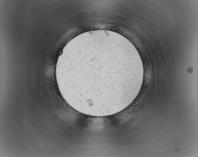 X0000094460473200712061227