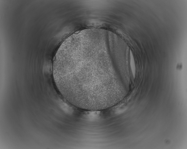 X0000094460474200712061227