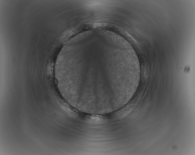 X0000094460475200712061227