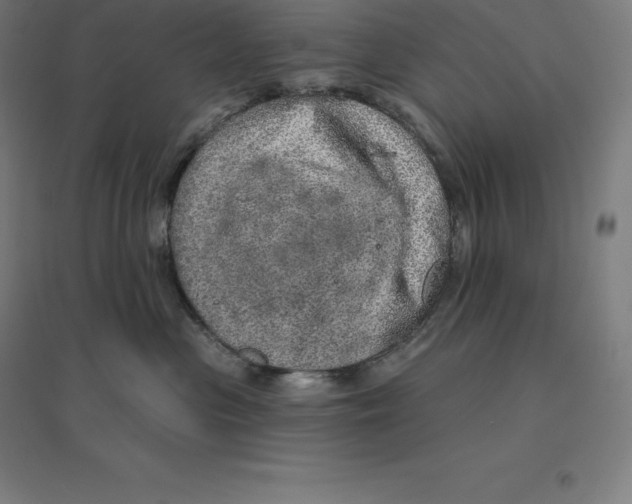 X0000094460477200712061227