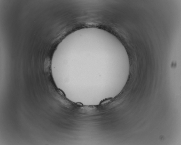 X0000094460480200712061227