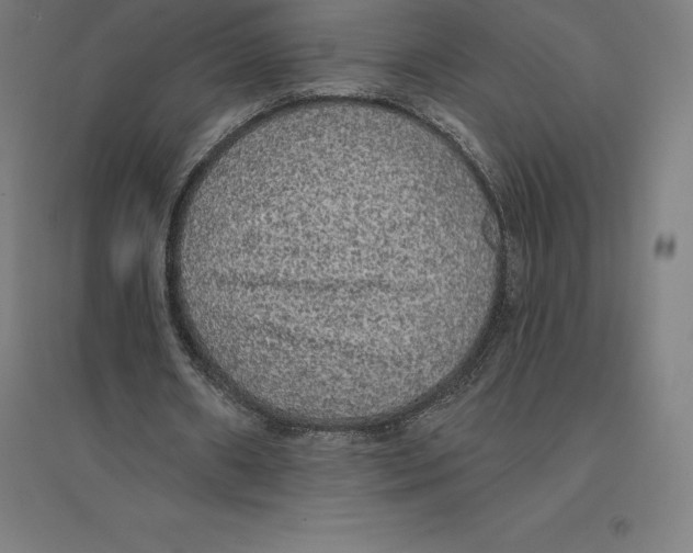 X0000094460482200712061227