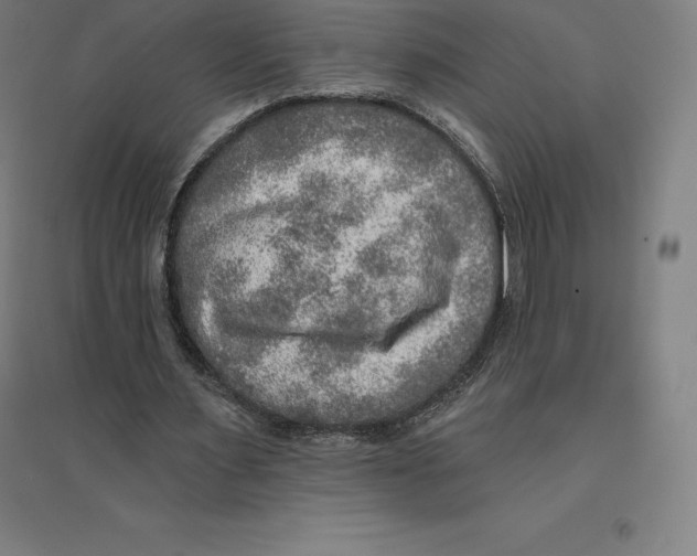 X0000094460483200712061227