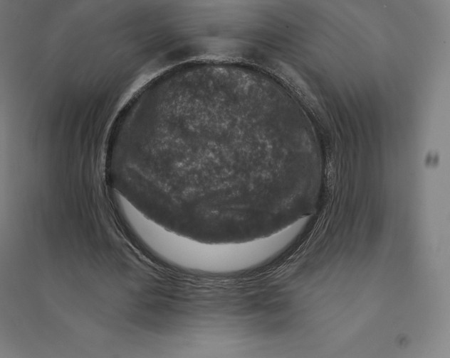 X0000094460484200712061227