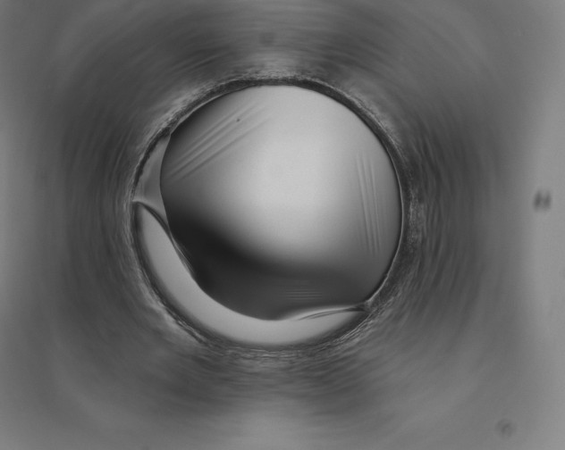 X0000094460485200712061227