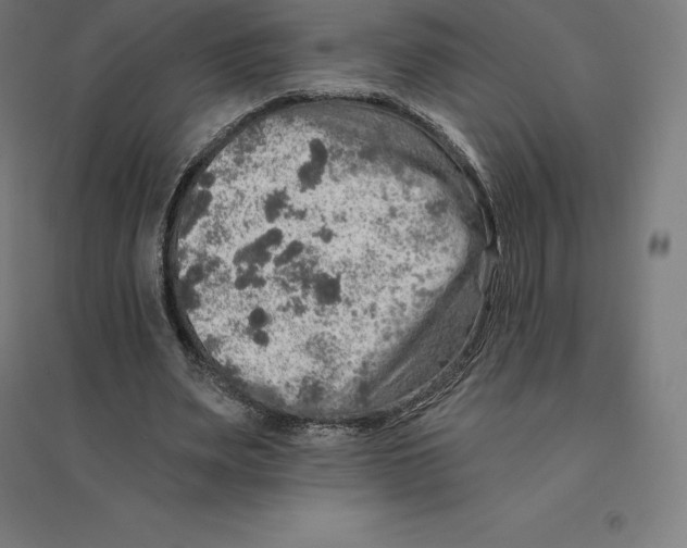 X0000094460487200712061227