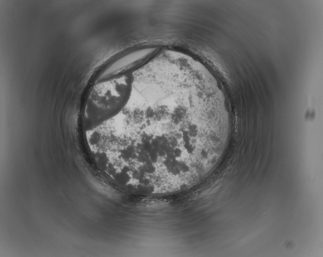 X0000094460491200712061227